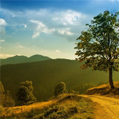 安博体育·(中国)官方网站下载手机版